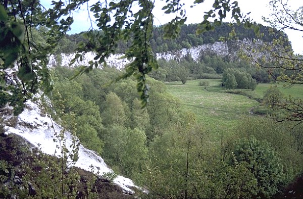 Zechsteinaufschluss Sachsenstein bei Bad Sachsa-Tettenborn