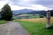 Bayerischer Wald